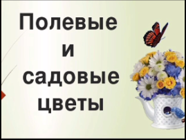 Профессия – Флорист Профессия – Флорист.