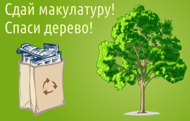 Сдай макулатуру- спаси дерево Сдай макулатуру- спаси дерево.